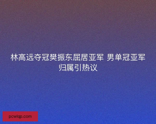 林高远夺冠樊振东屈居亚军 男单冠亚军归属引热议